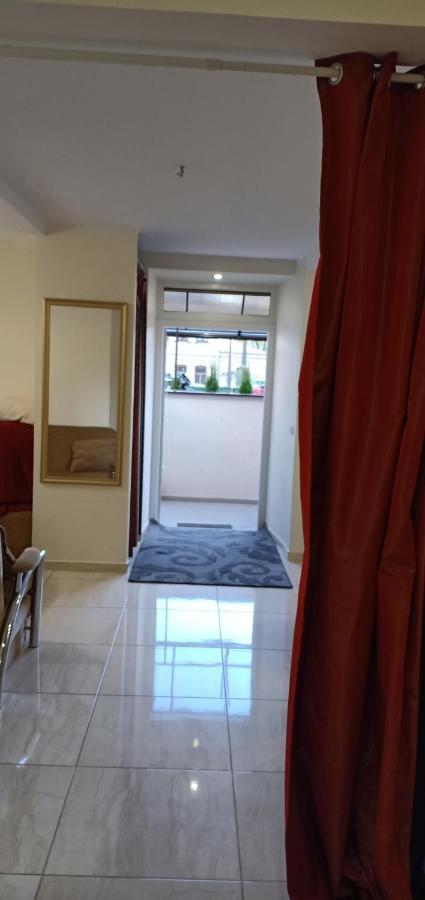 Kaunas Downtown Apartments المظهر الخارجي الصورة