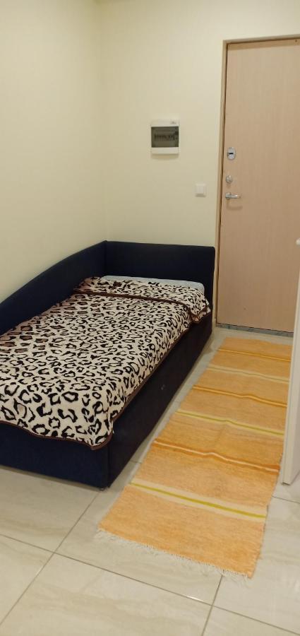 Kaunas Downtown Apartments المظهر الخارجي الصورة