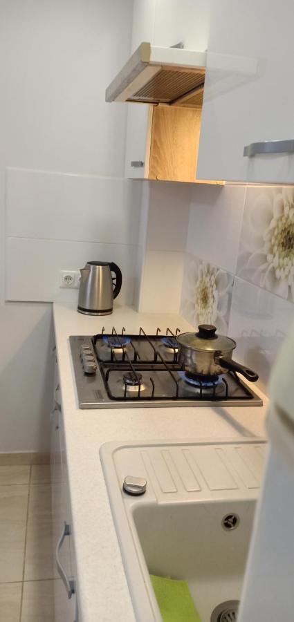 Kaunas Downtown Apartments المظهر الخارجي الصورة