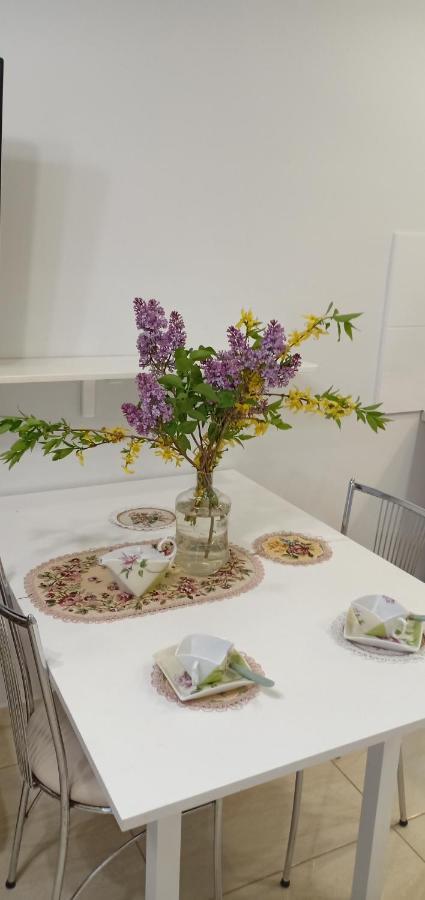 Kaunas Downtown Apartments المظهر الخارجي الصورة